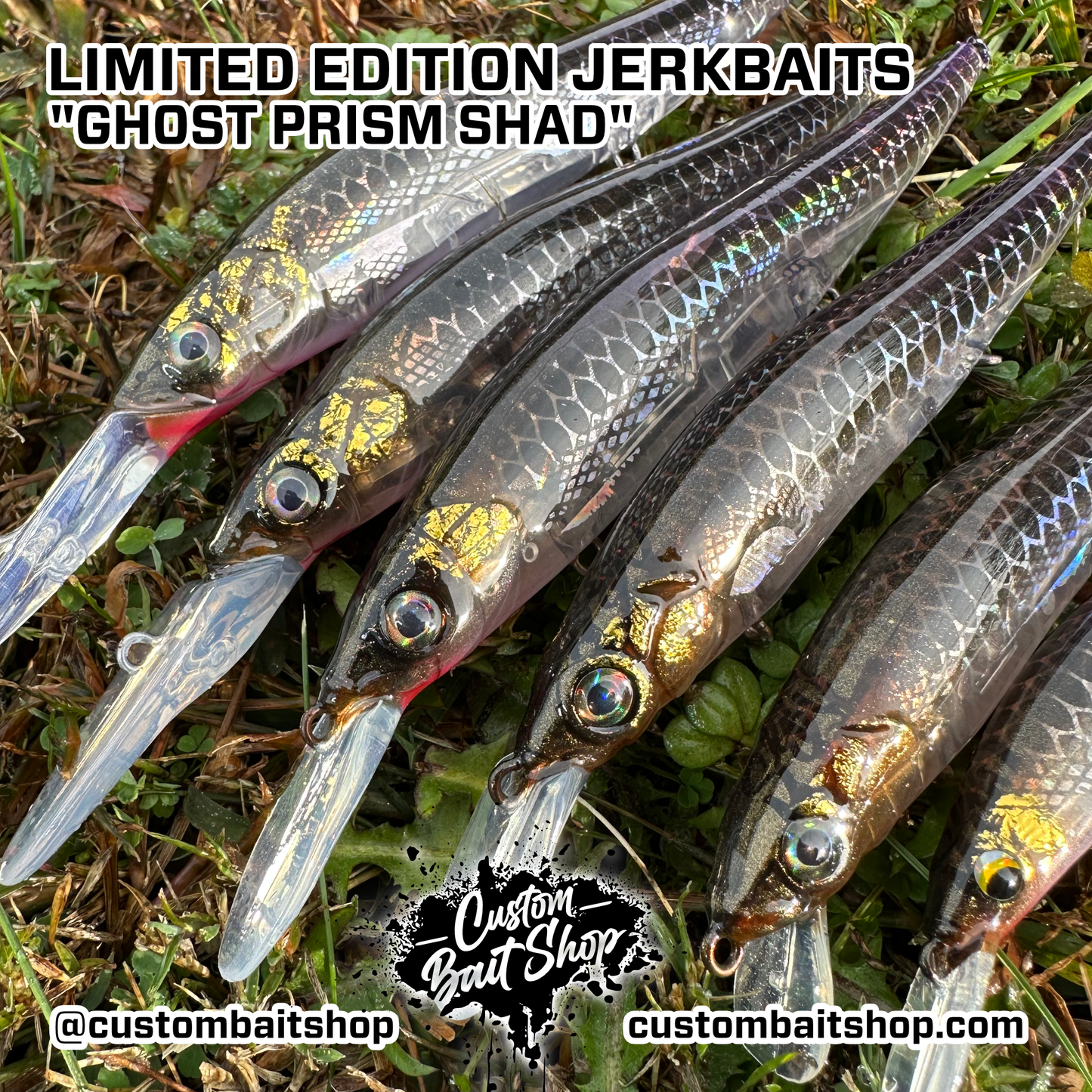 Ghost Prism Shad - LE Jerkbaits (Sale)