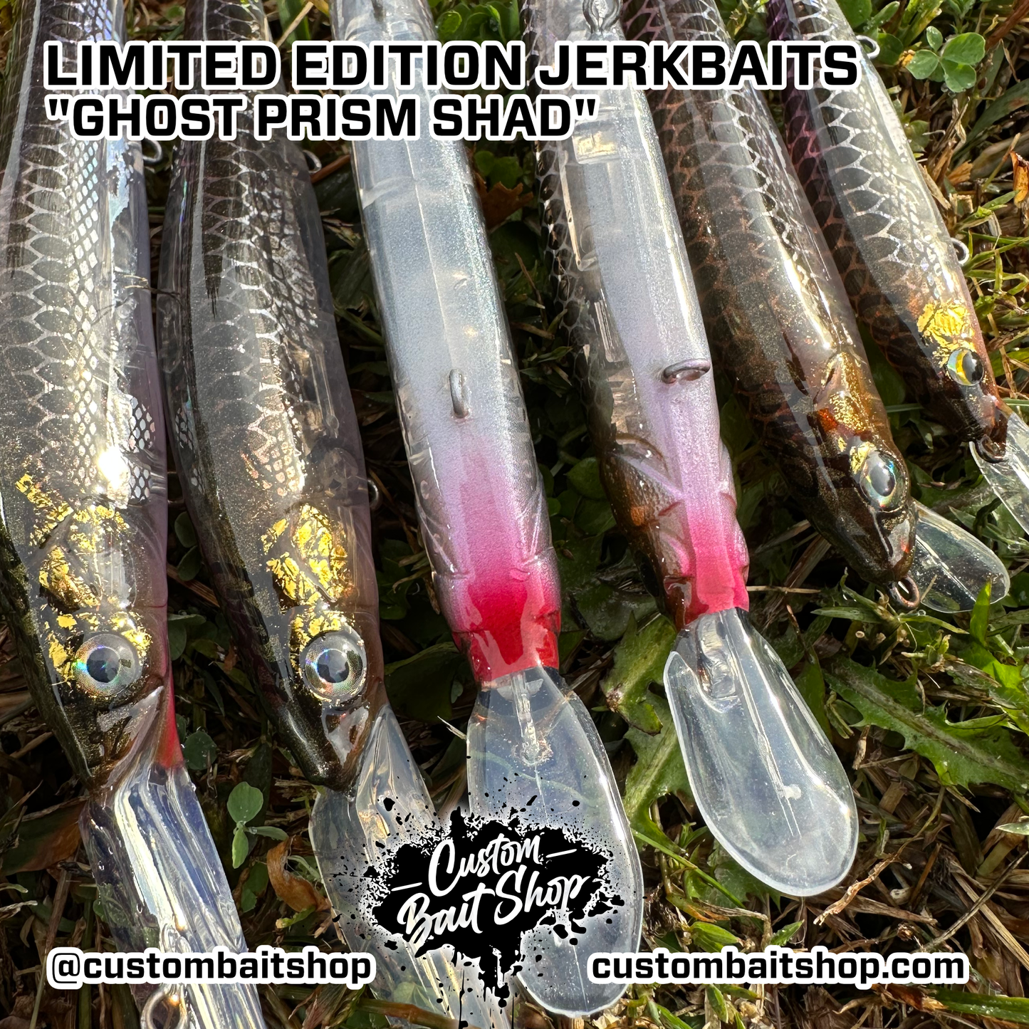 Ghost Prism Shad - LE Jerkbaits (Sale)