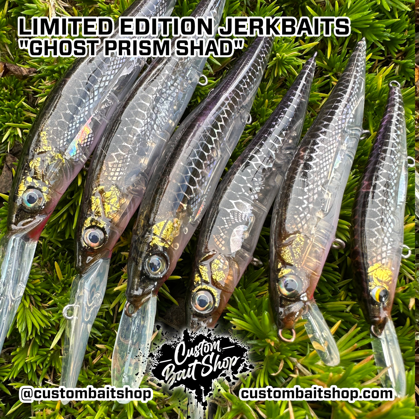 Ghost Prism Shad - LE Jerkbaits (Sale)