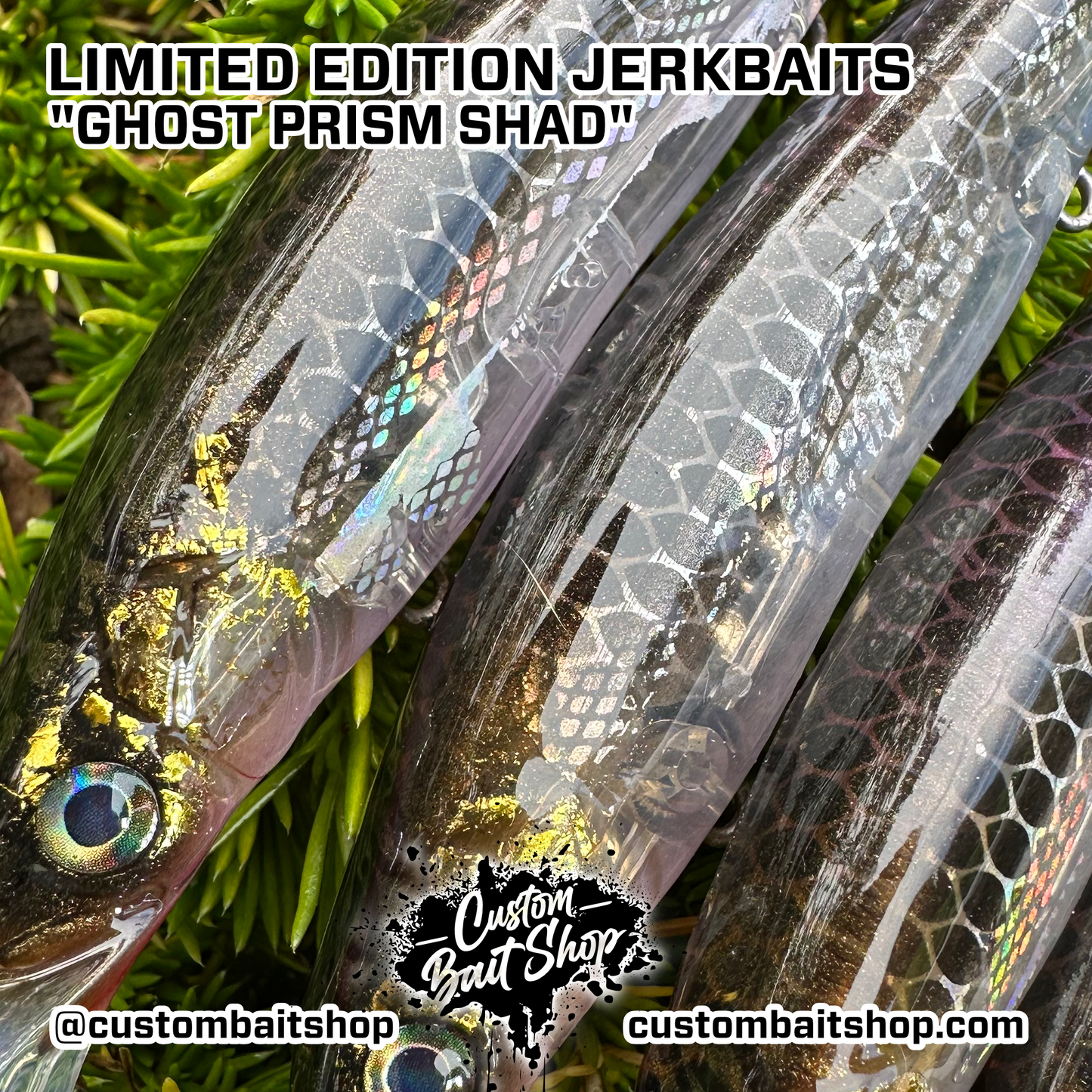 Ghost Prism Shad - LE Jerkbaits (Sale)