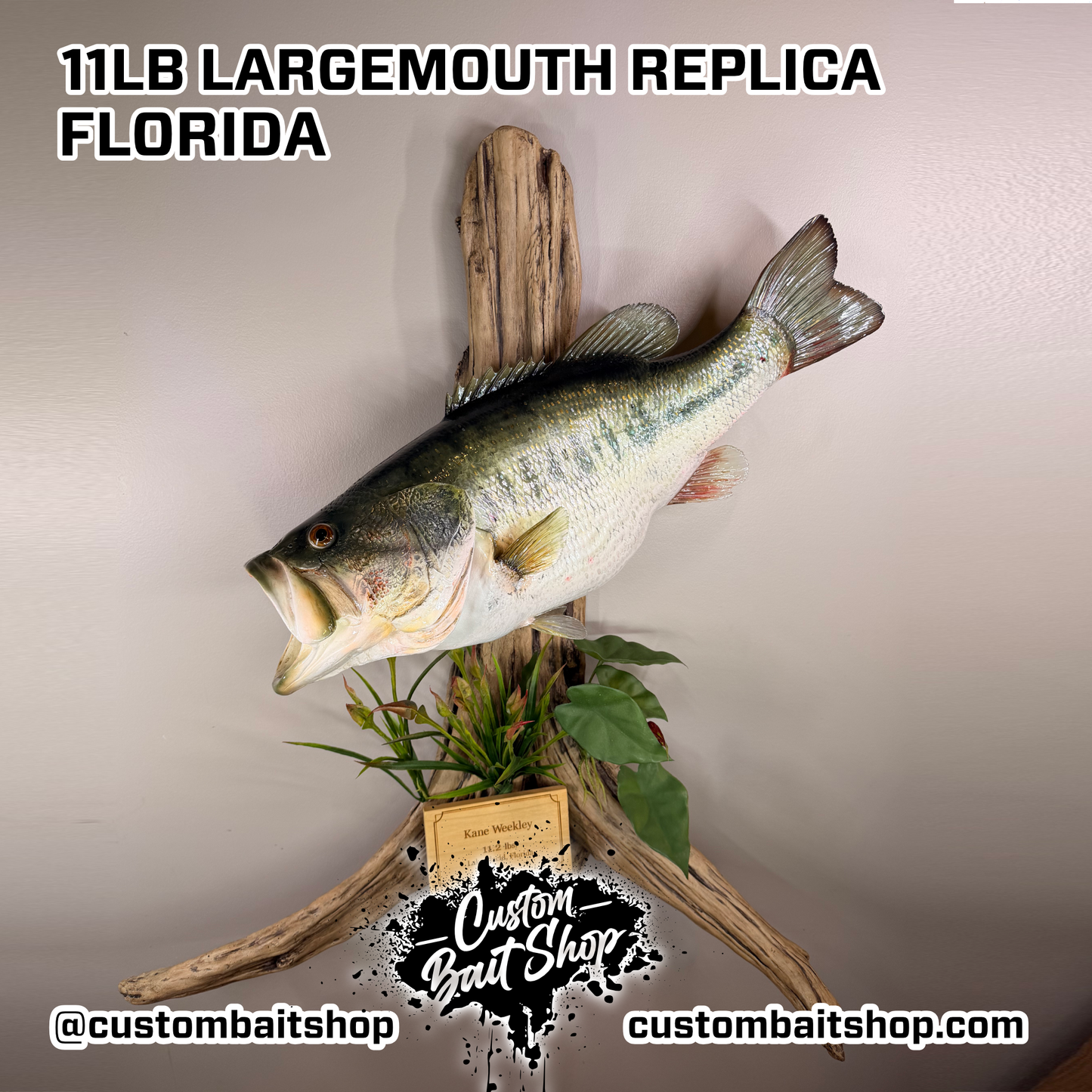 Largemouth Bass Replica (deposit)