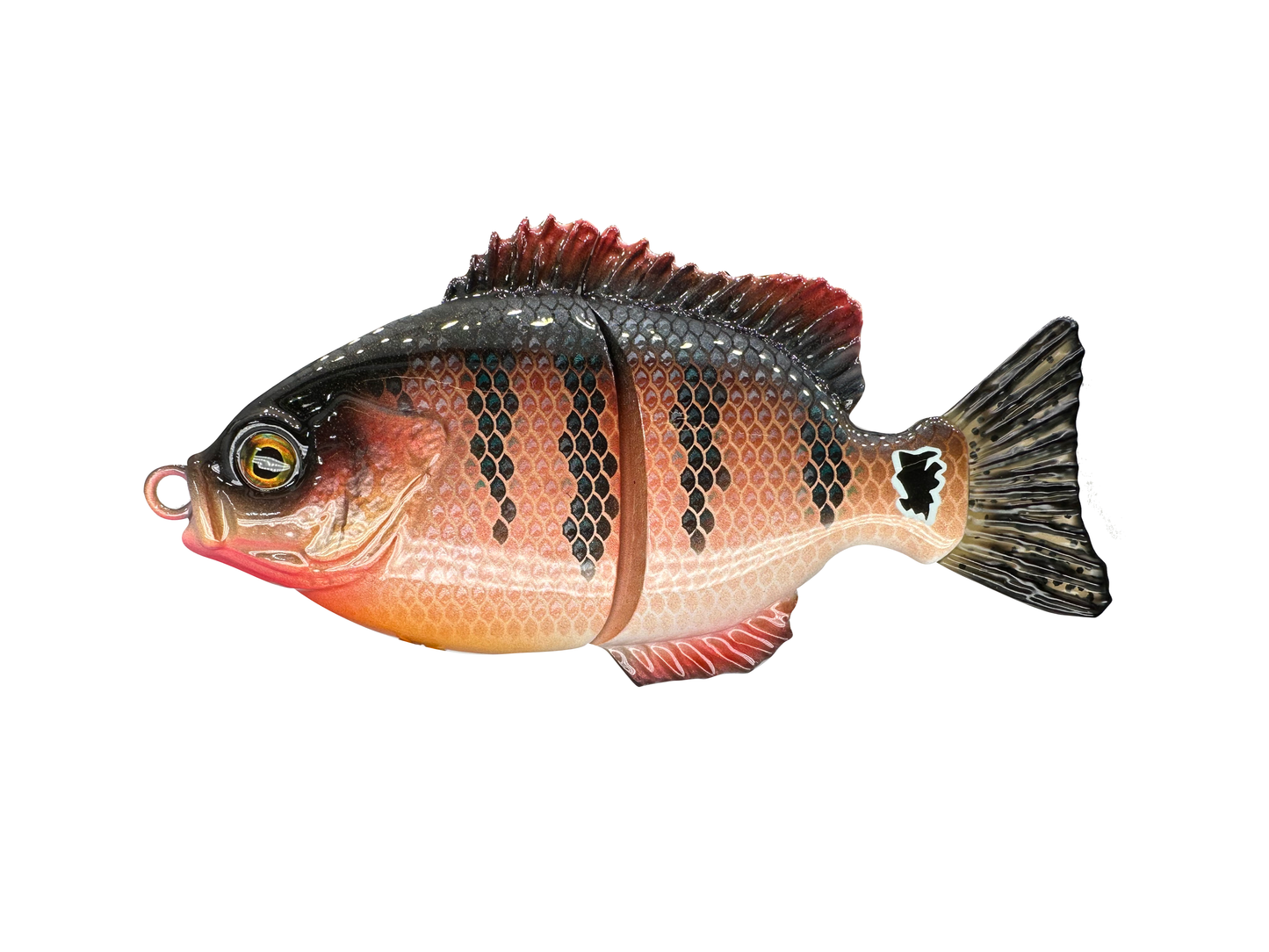 Evergreen Bream Clone Swim Bait