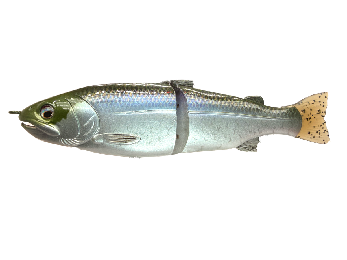7" Trout Glide Bait (Drop)