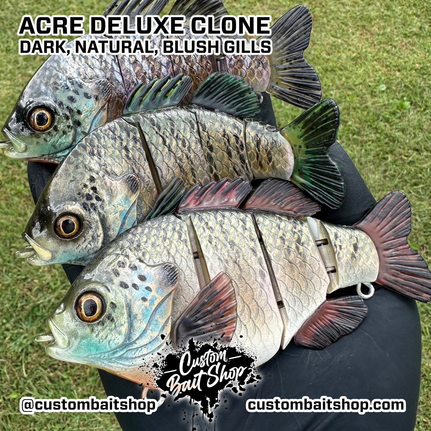 5" Acre Deluxe Swim Bait Clone