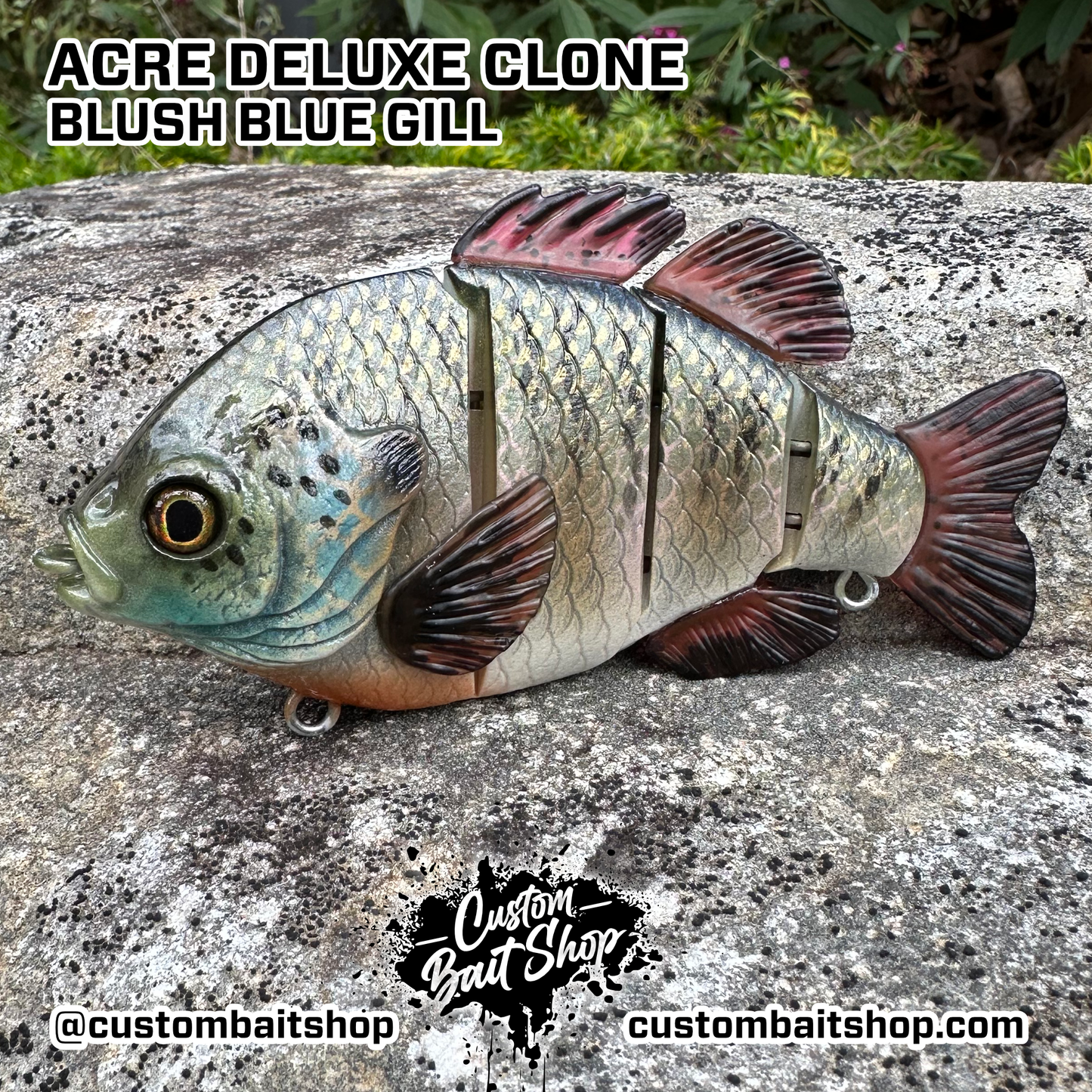 5" Acre Deluxe Swim Bait Clone