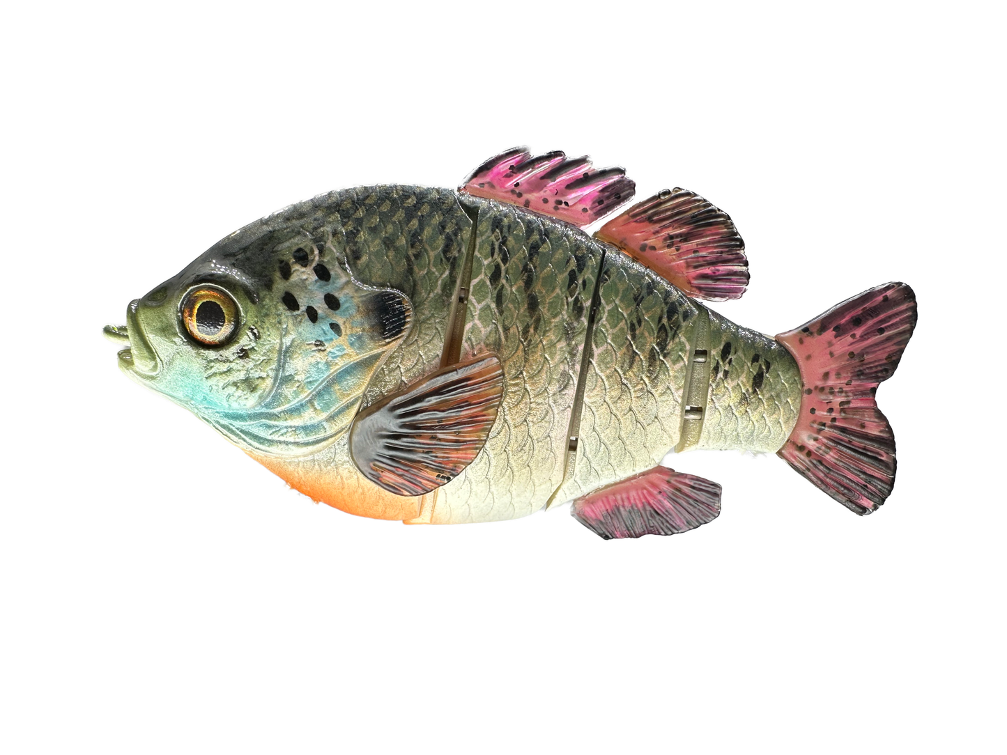 5" Acre Deluxe Swim Bait Clone
