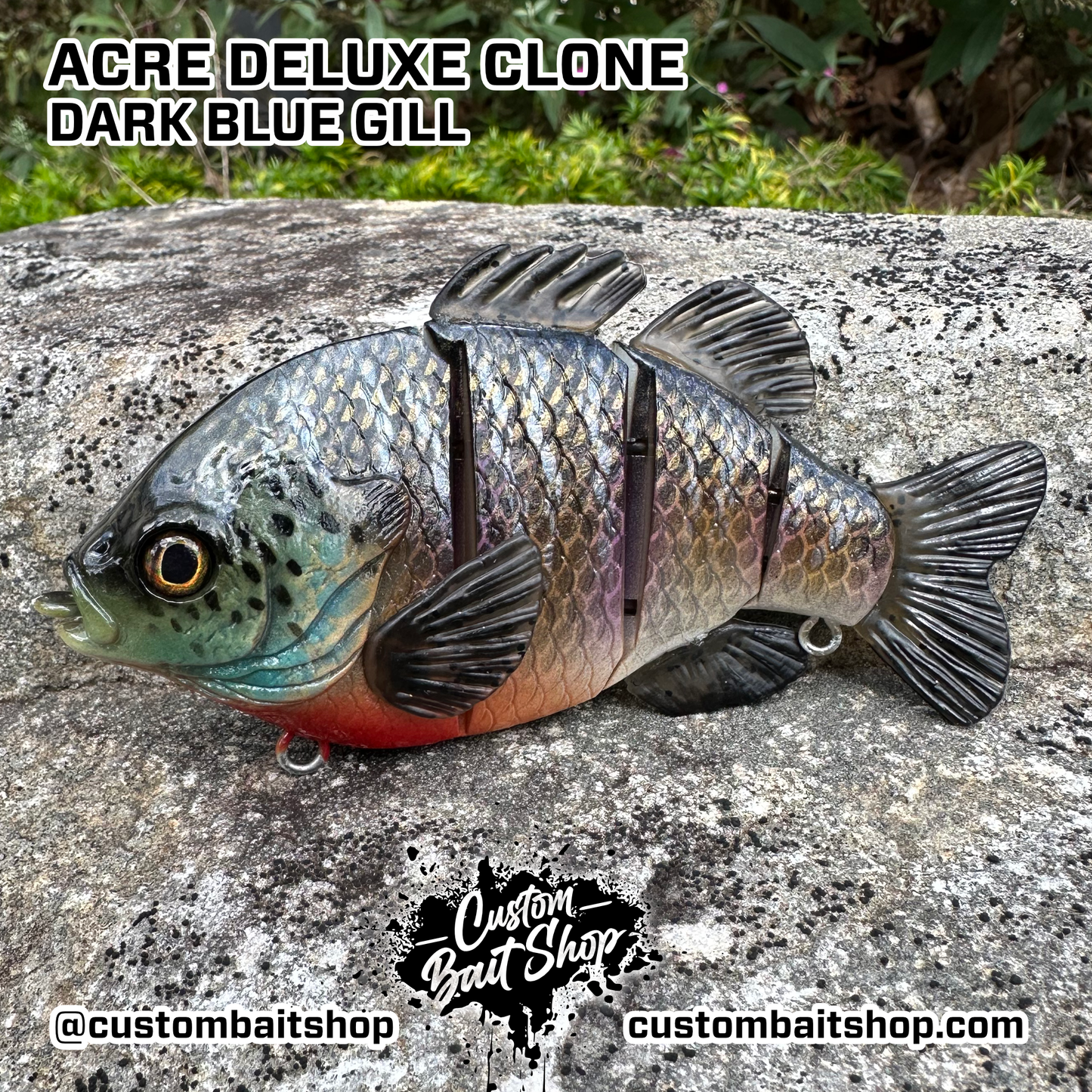 5" Acre Deluxe Swim Bait Clone