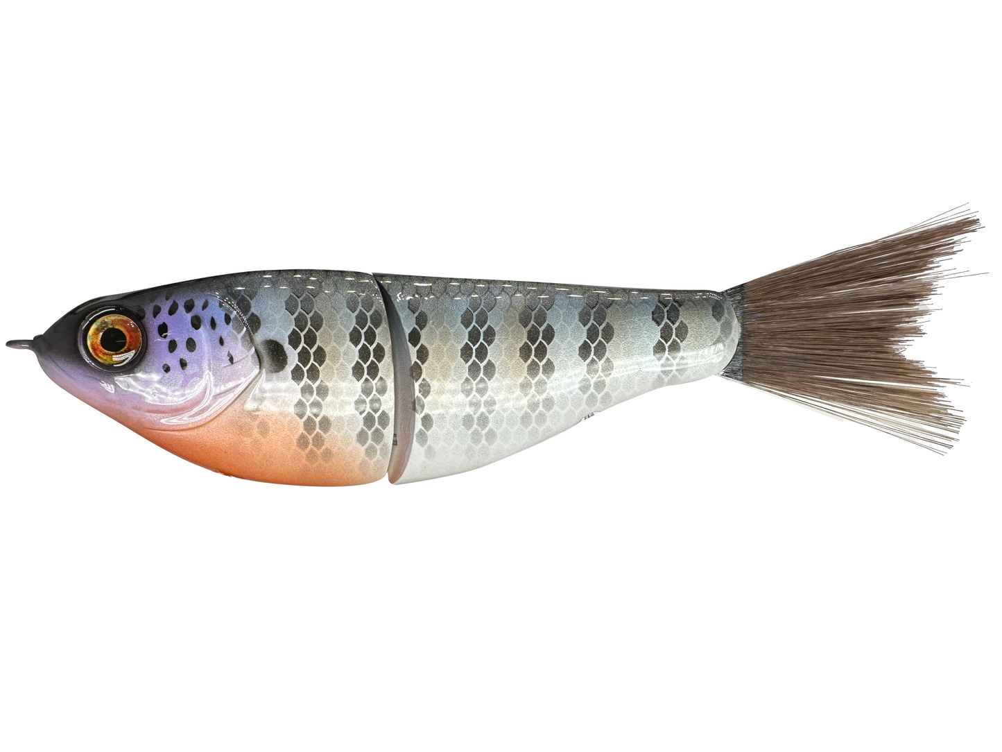 7" Big Belly Shad Glide Bait