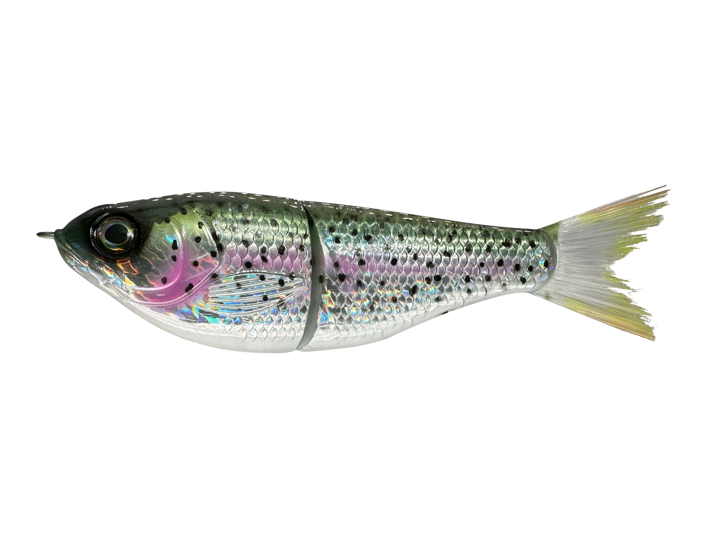 7" Big Belly Shad Glide Bait