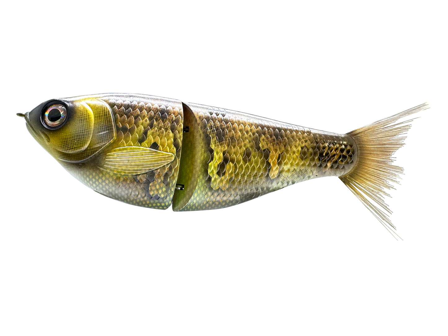 7" Big Belly Shad Glide Bait