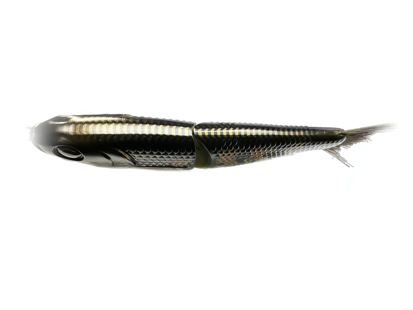 7" Big Belly Shad Glide Bait