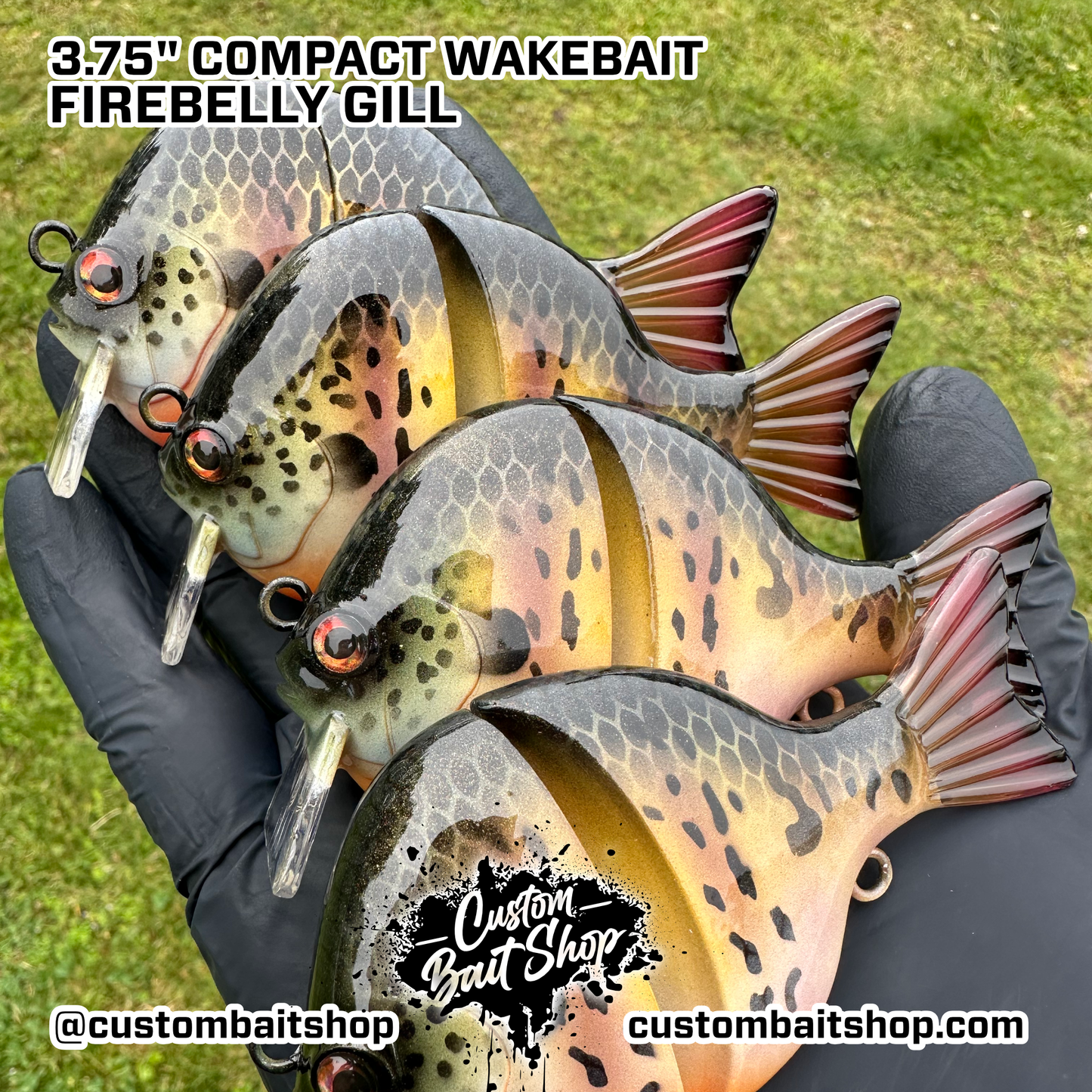 3" Compact Wake Bait (Sale)