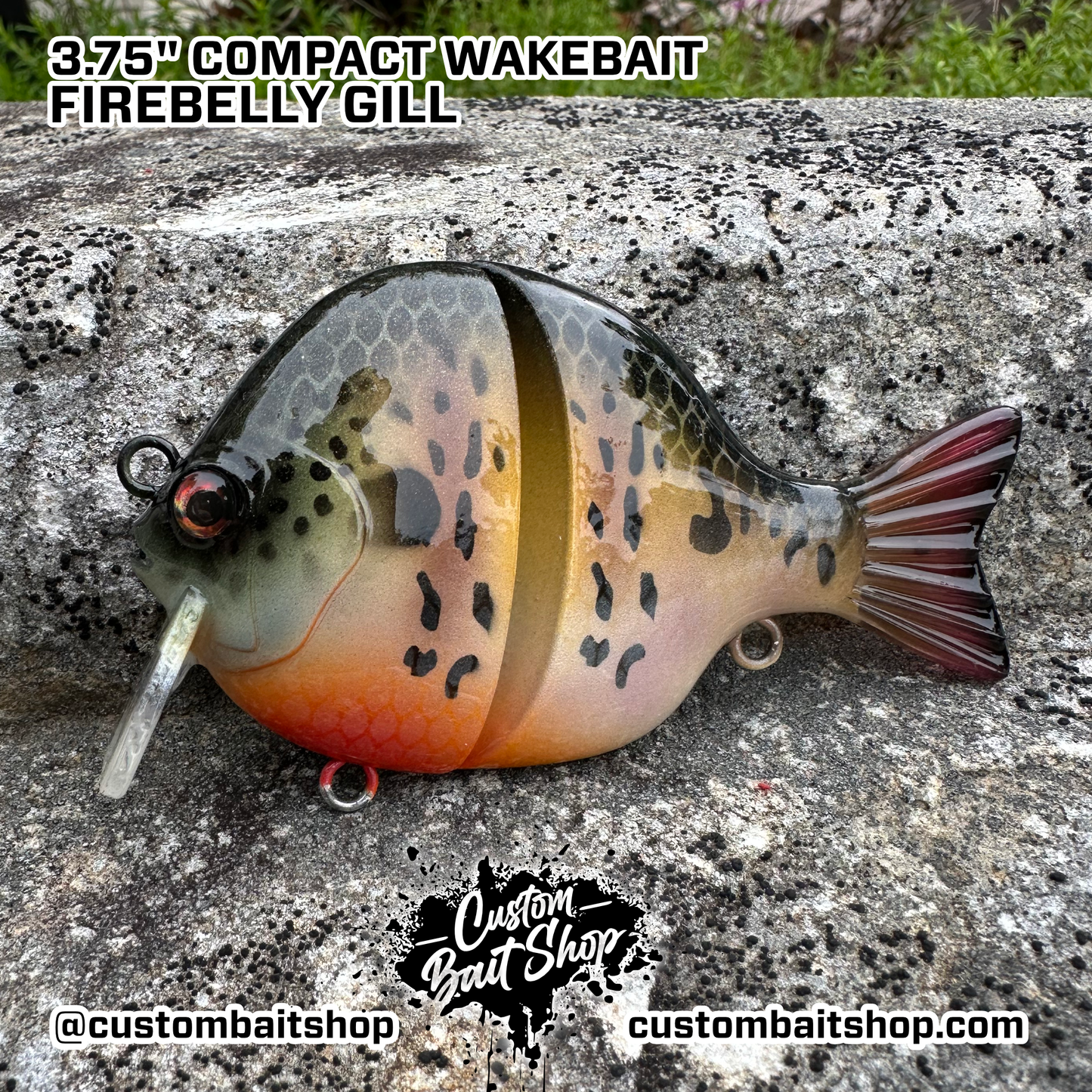 3" Compact Wake Bait (Sale)