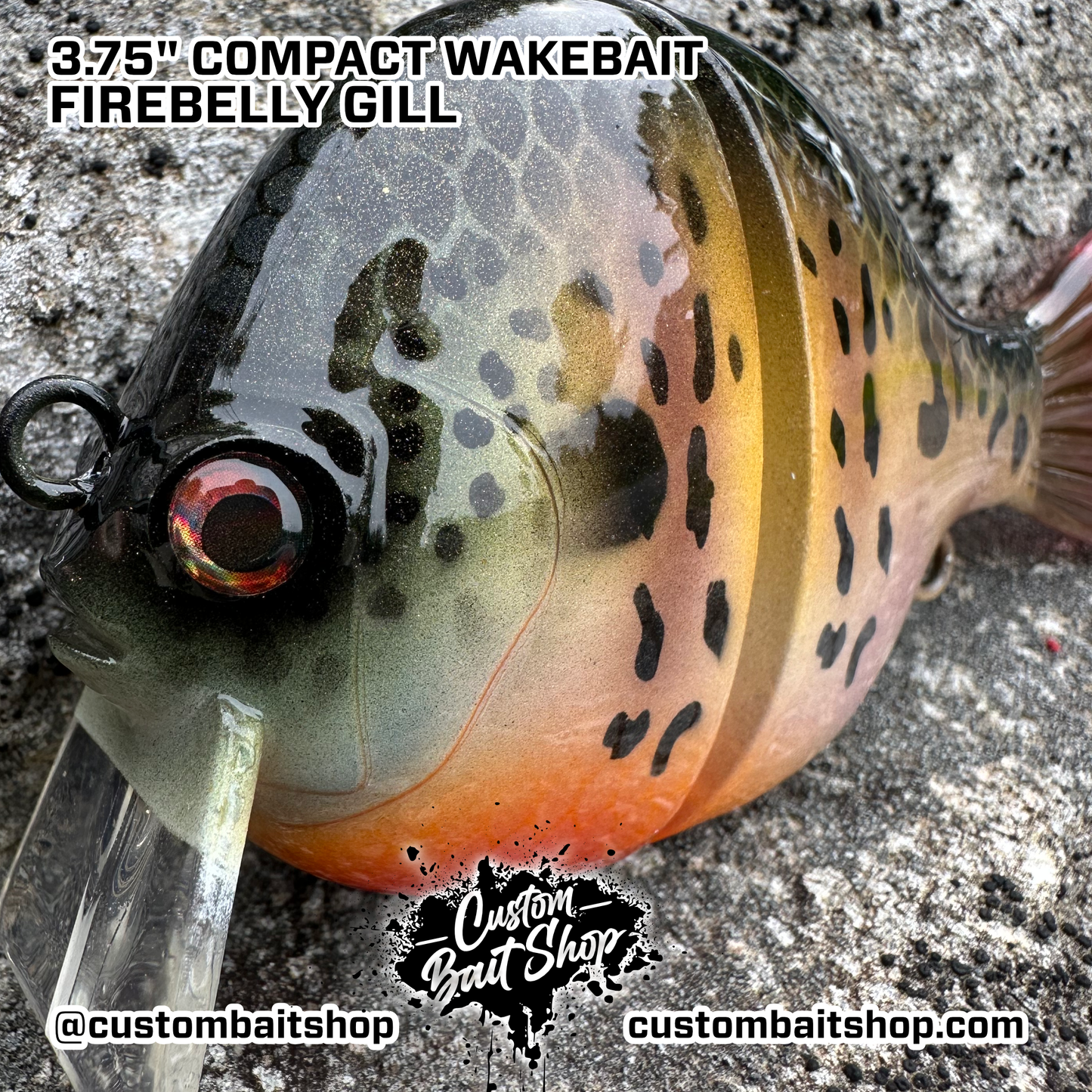 3" Compact Wake Bait (Sale)