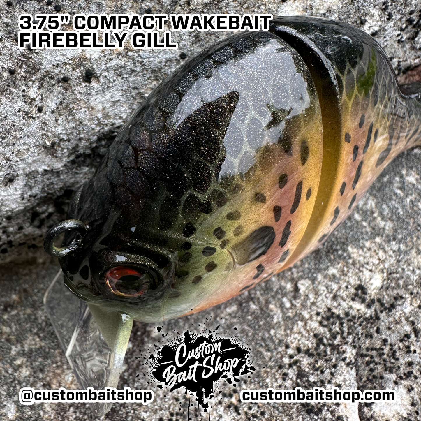 3" Compact Wake Bait (Sale)