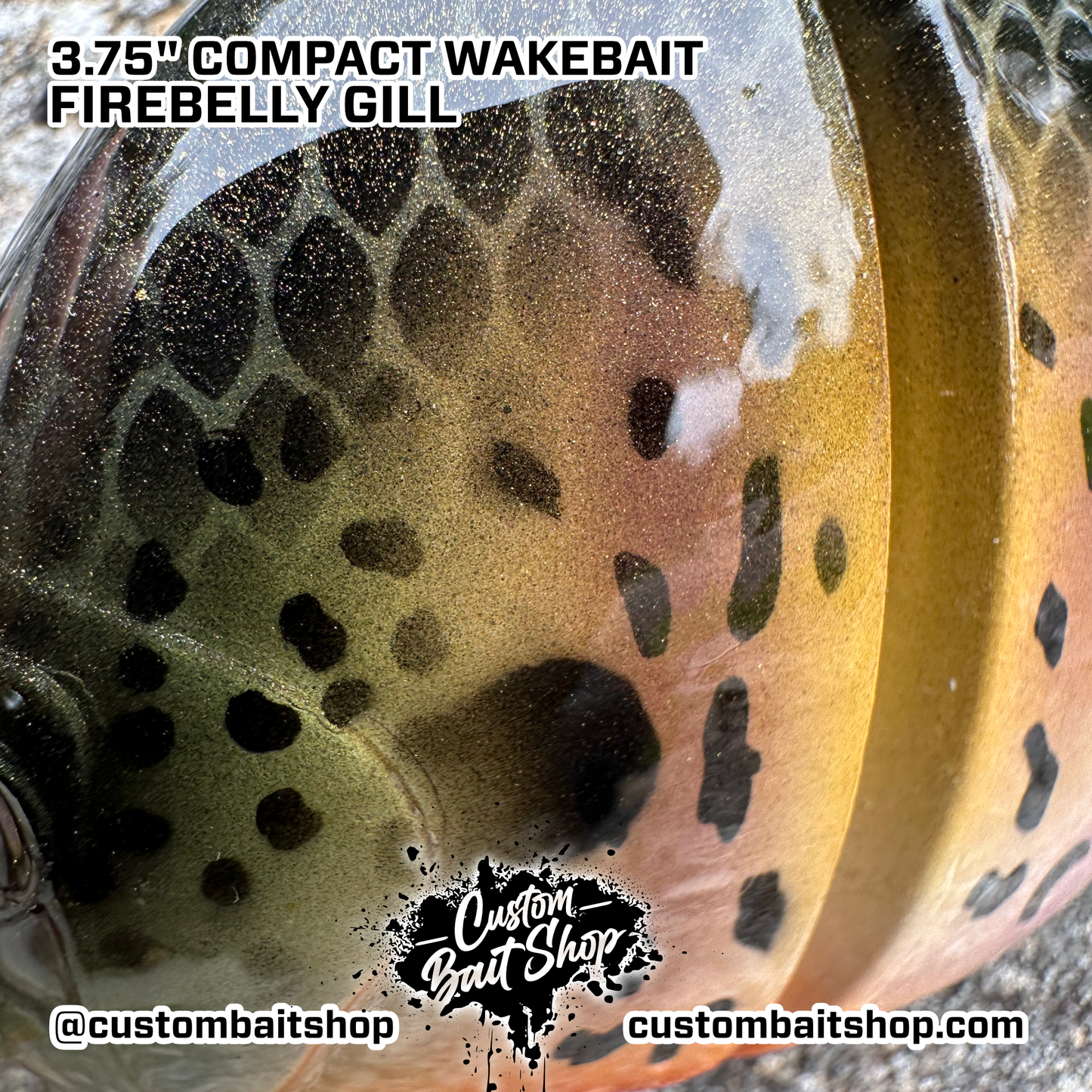 3" Compact Wake Bait (Sale)