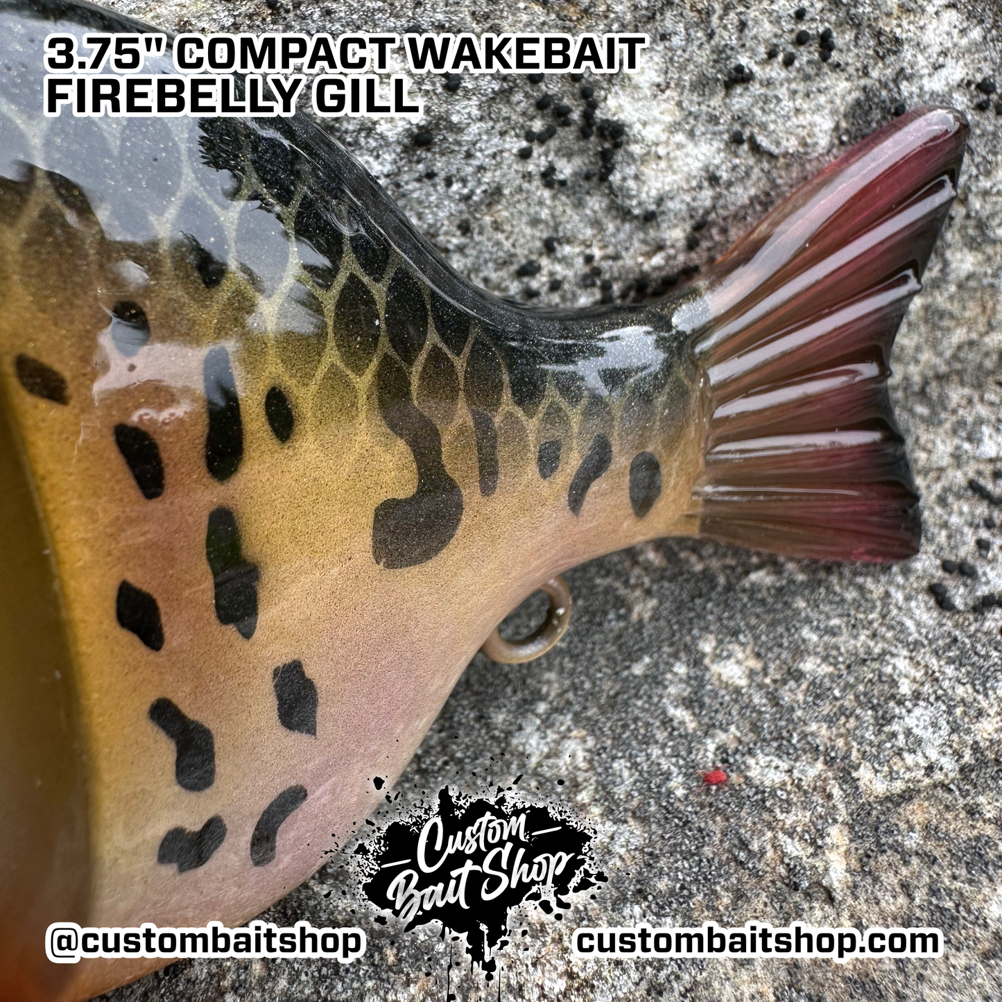 3" Compact Wake Bait (Sale)