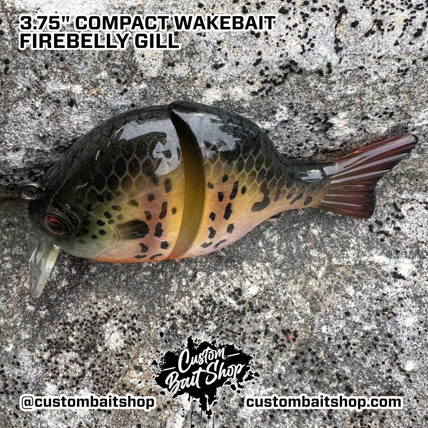 3" Compact Wake Bait (Sale)
