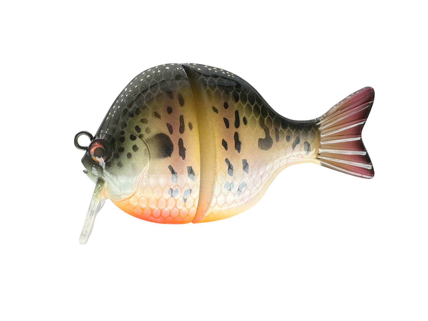 3" Compact Wake Bait (Sale)