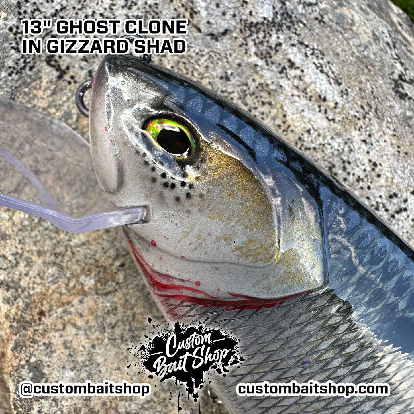 13" DRT Ghost Swim Bait Clone