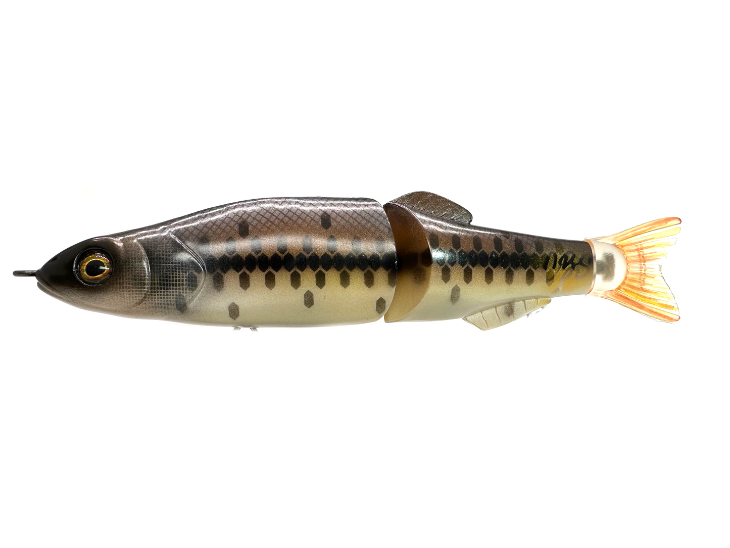 7" Boyd Duckett BD Swim Bait Clone
