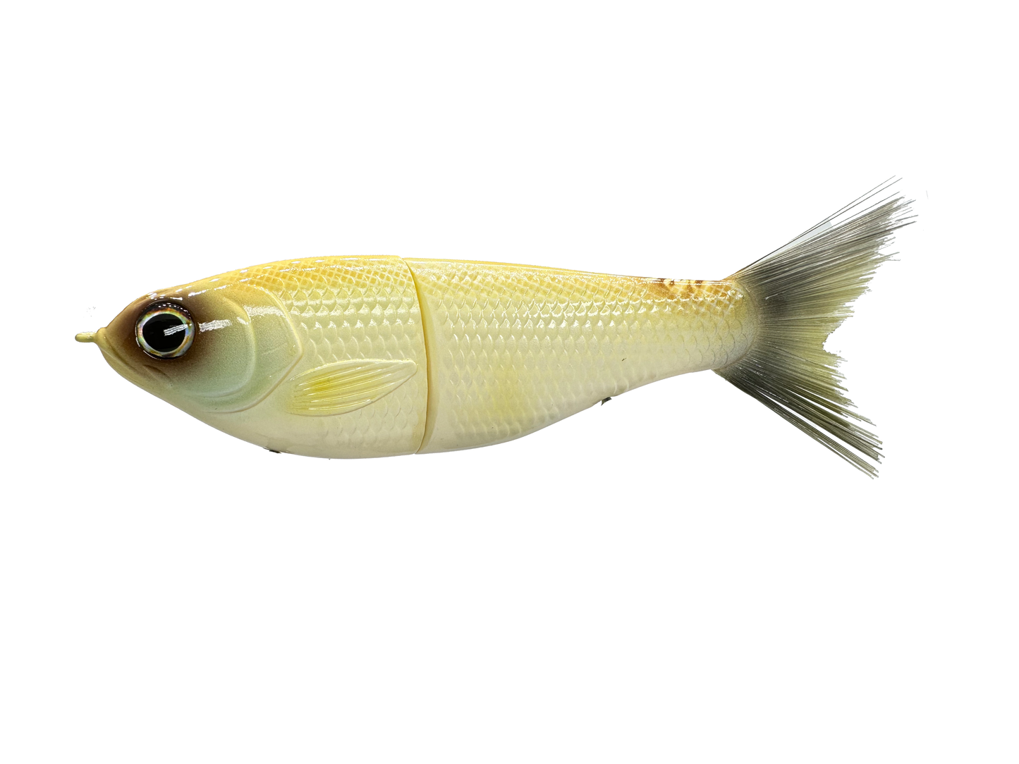 7" Big Belly Shad Glide Bait