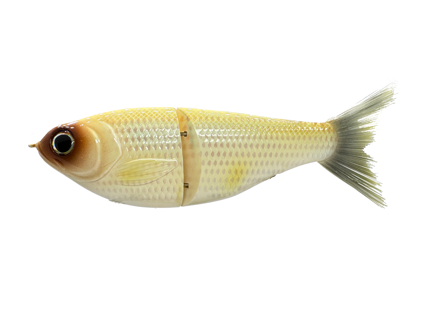 7" Big Belly Shad Glide Bait
