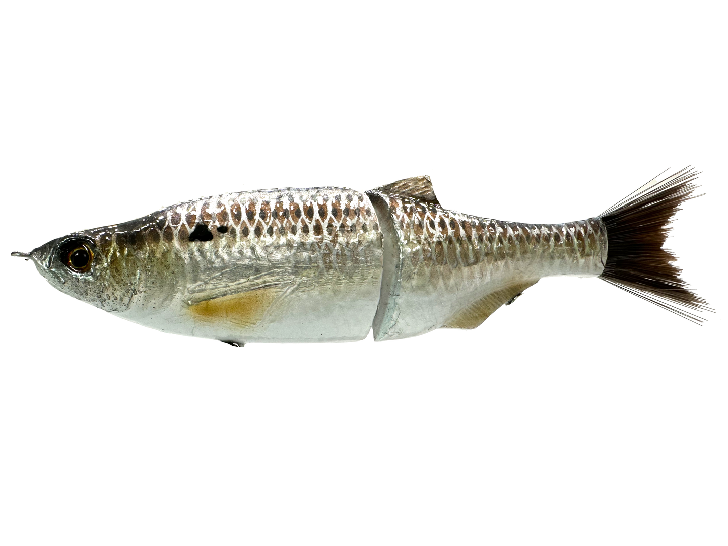 6" Shad Swim Glide Bait