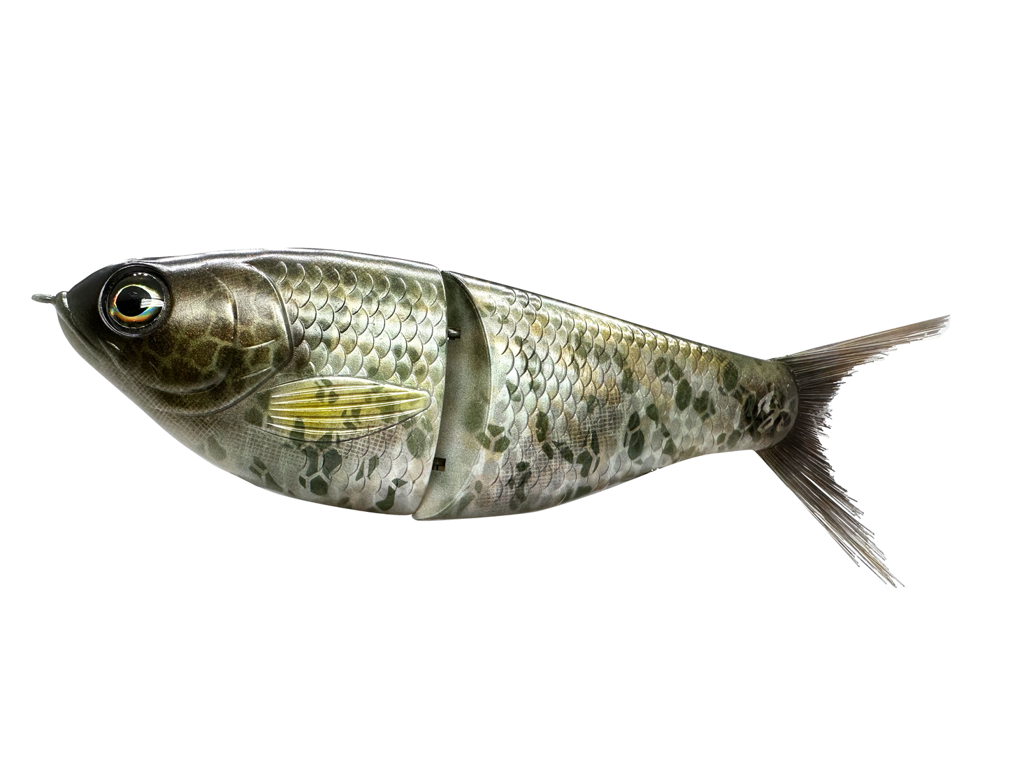 7" Big Belly Shad Glide Bait