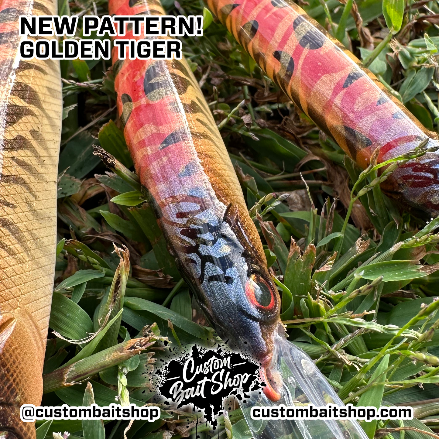 Golden Tiger - Random Sizes (Sale)