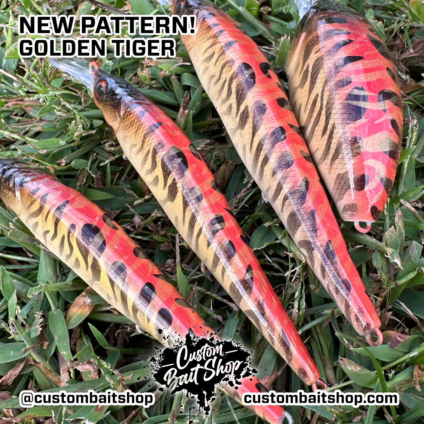 Golden Tiger - Random Sizes (Sale)