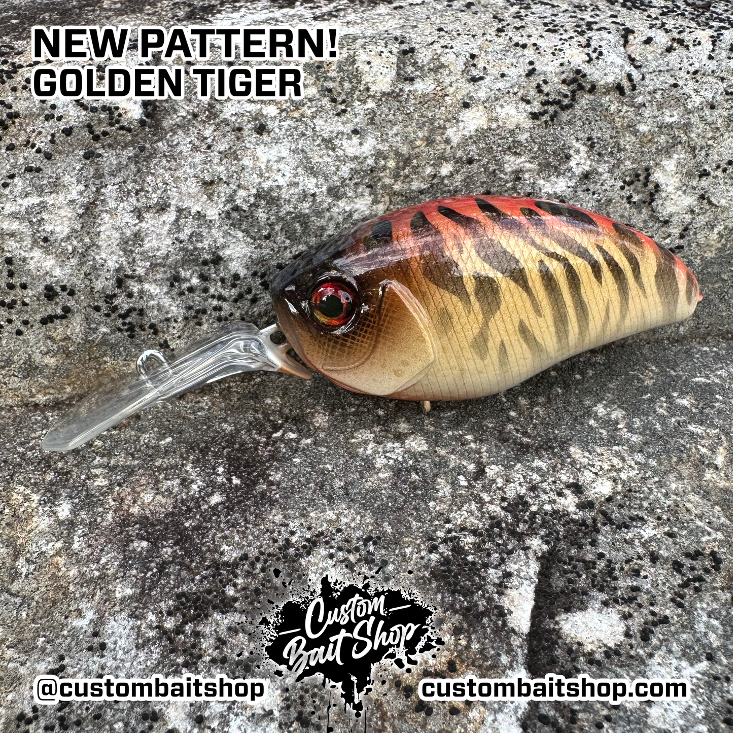 Golden Tiger - Random Sizes (Sale)