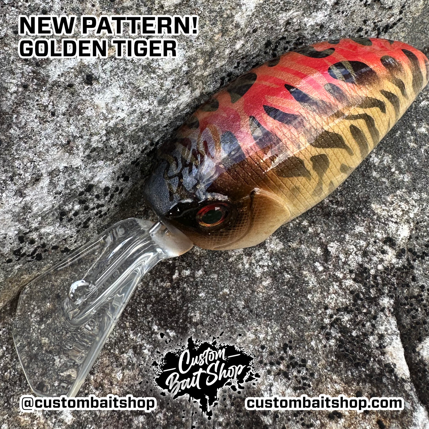 Golden Tiger - Random Sizes (Sale)