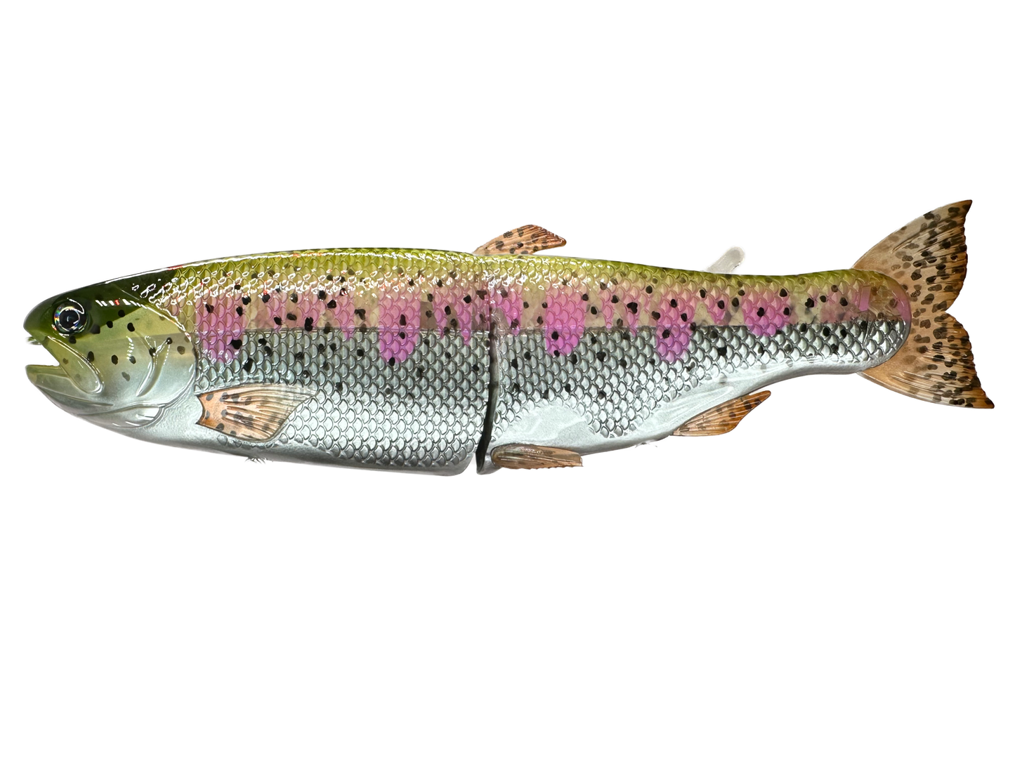 11" Hinko Trout (Sale)