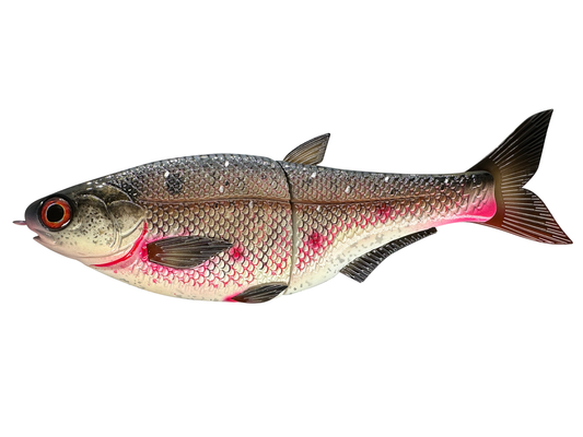 9" Hinko Shad Glide Bait