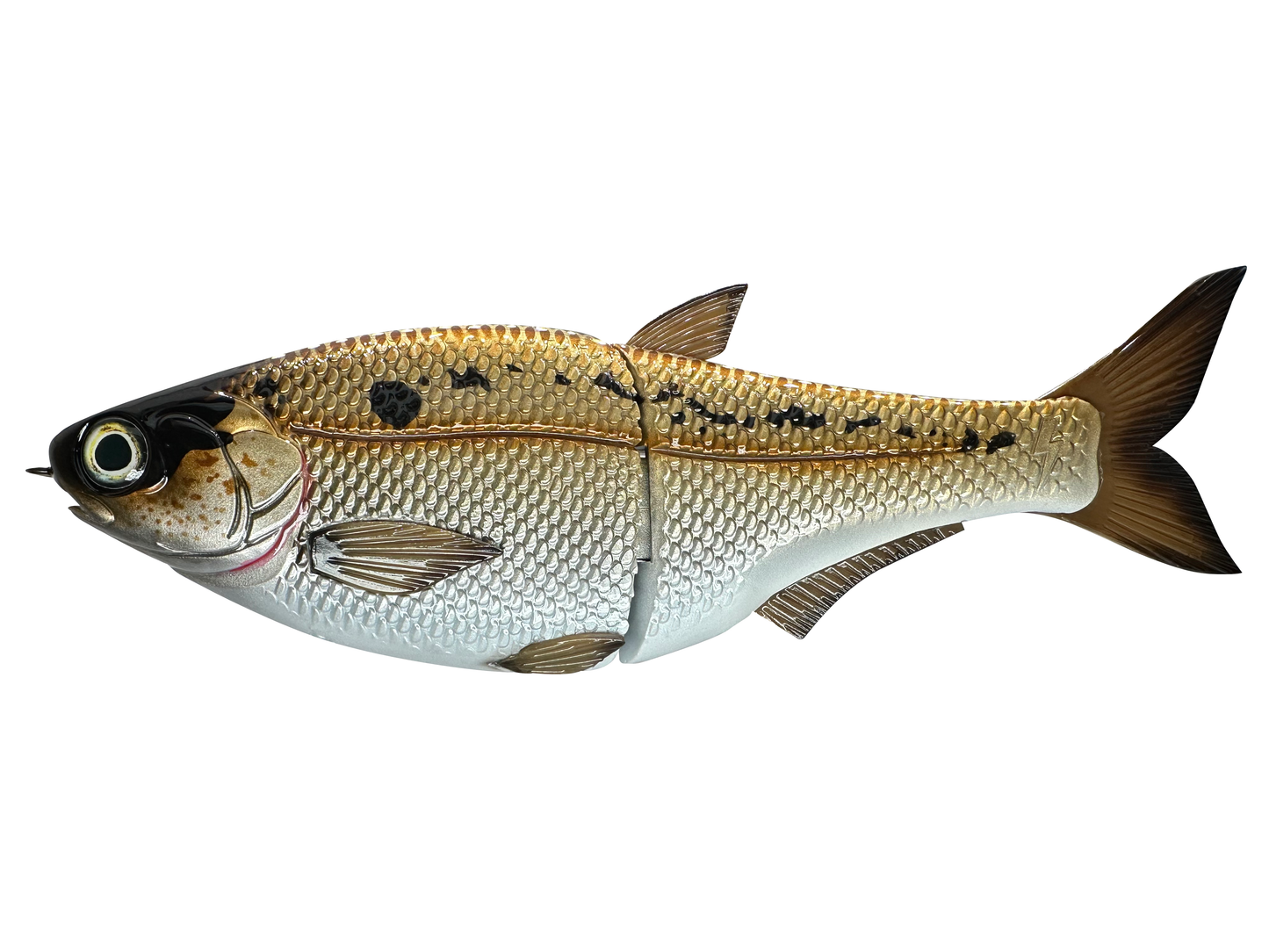 9" Hinko Shad (Sale)