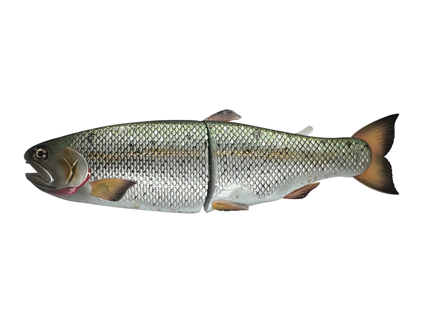 11" Hinko Trout - Special Patterns