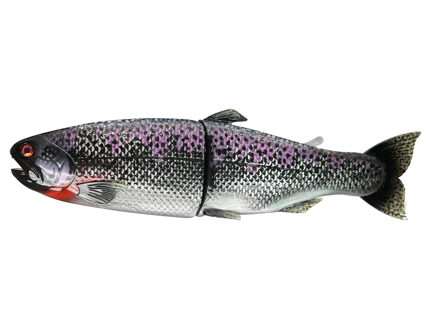 11" Hinko Trout - Special Patterns
