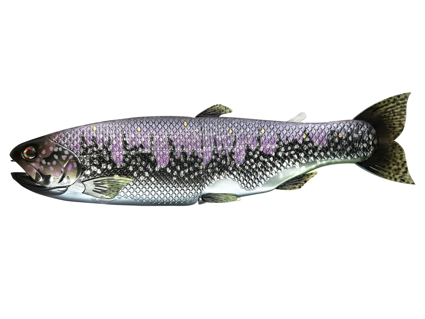 11" Hinko Trout - Special Patterns