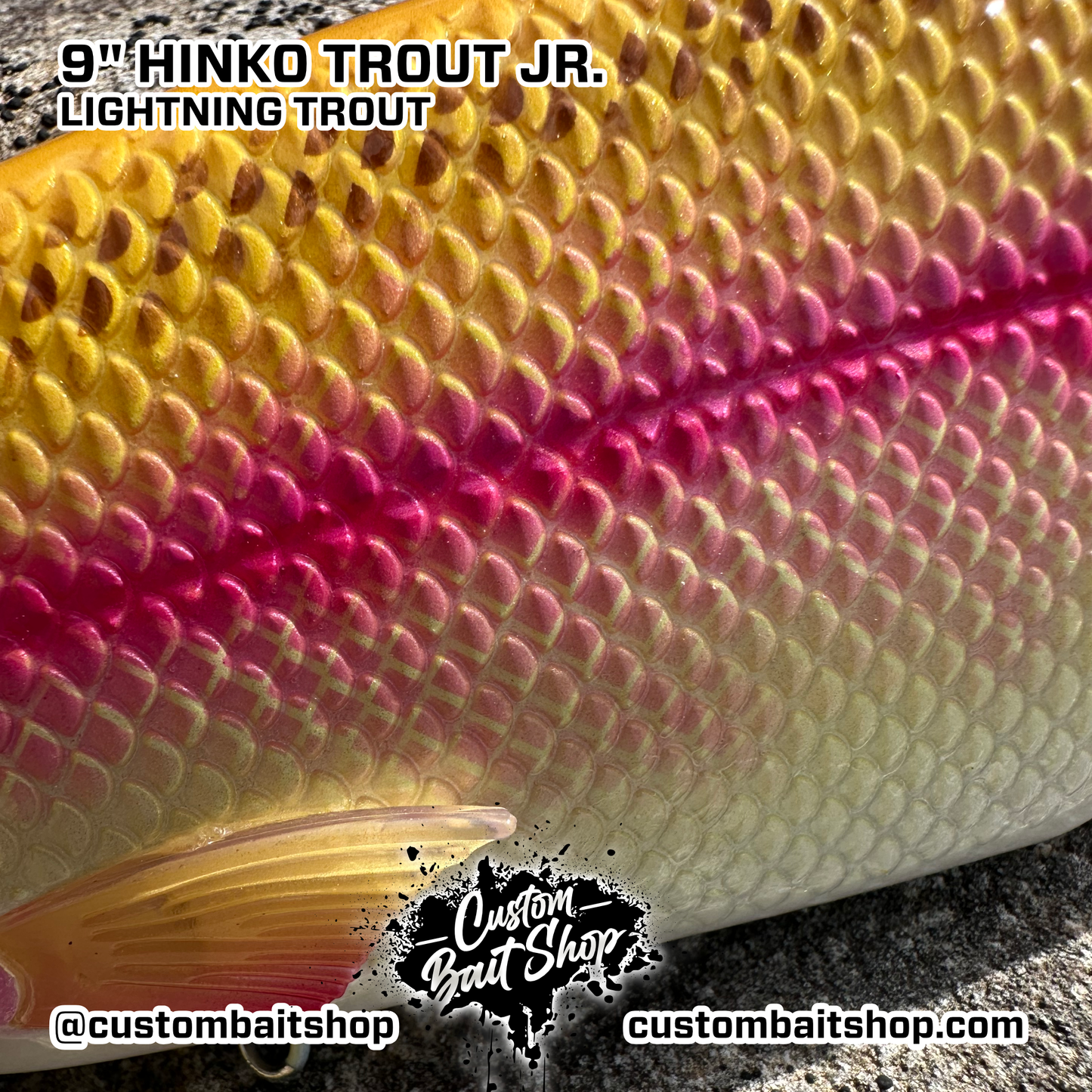 Hinko Trout Jr. (Sale)
