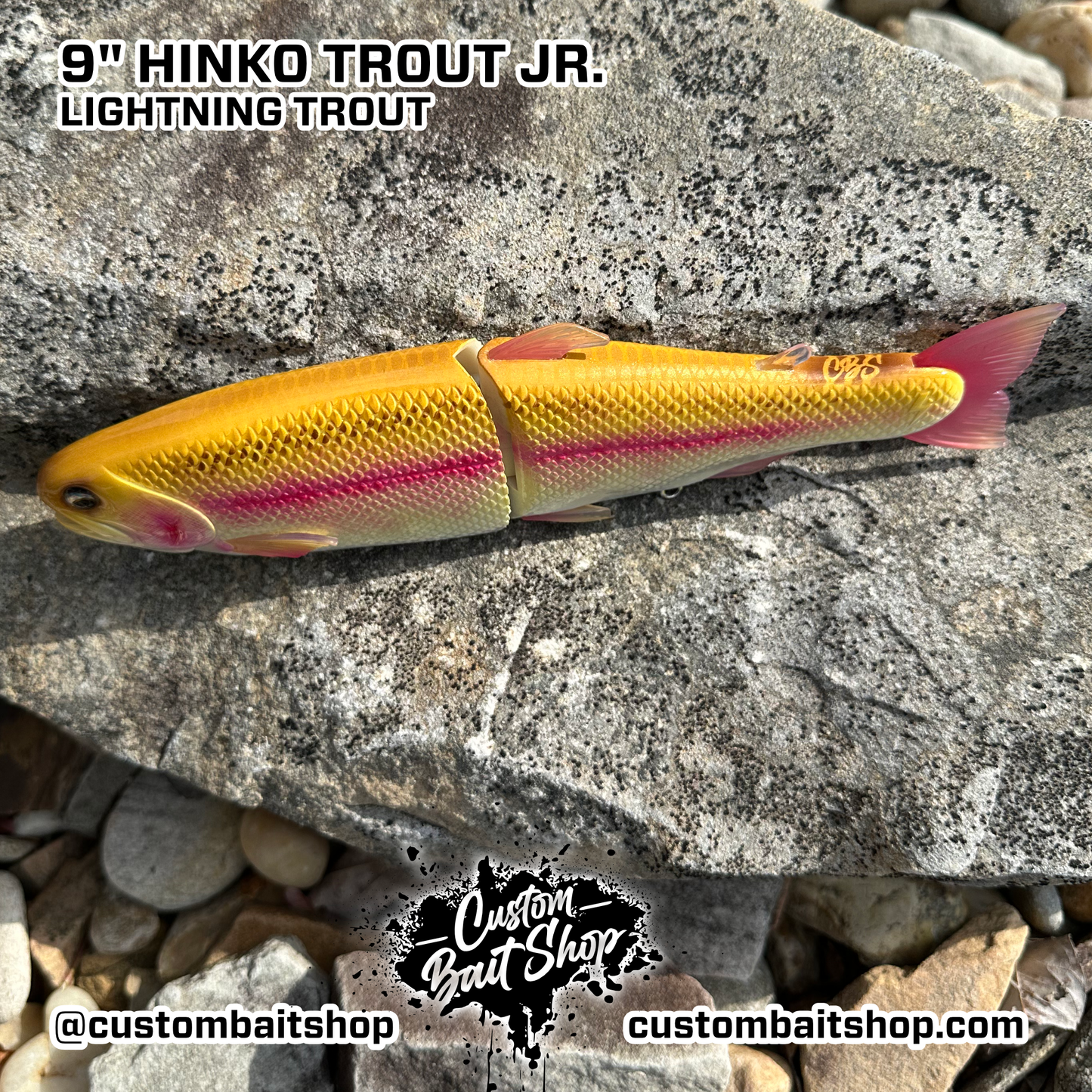 Hinko Trout Jr. - Lightning/Palomino Trout (Sale)