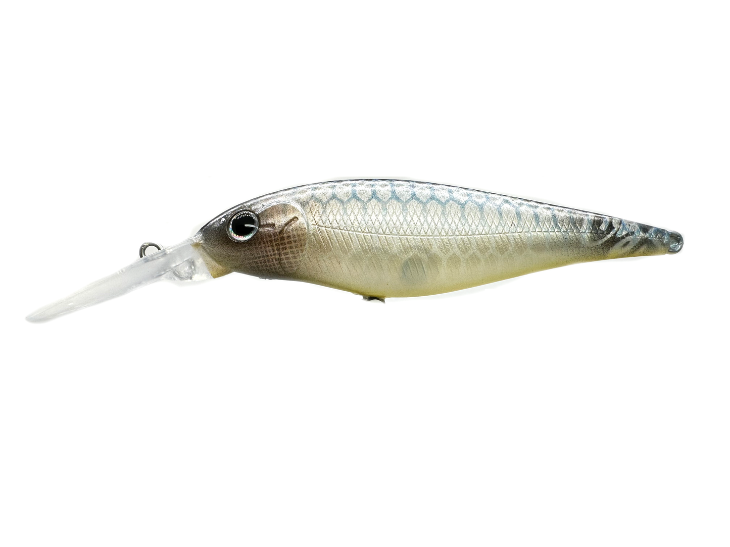 Custom Flicker Shad Jerkbait