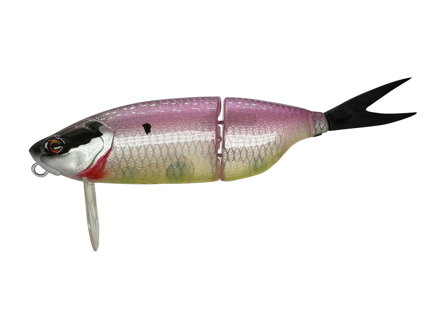 9" Joker Wake Bait Clone (Sale)