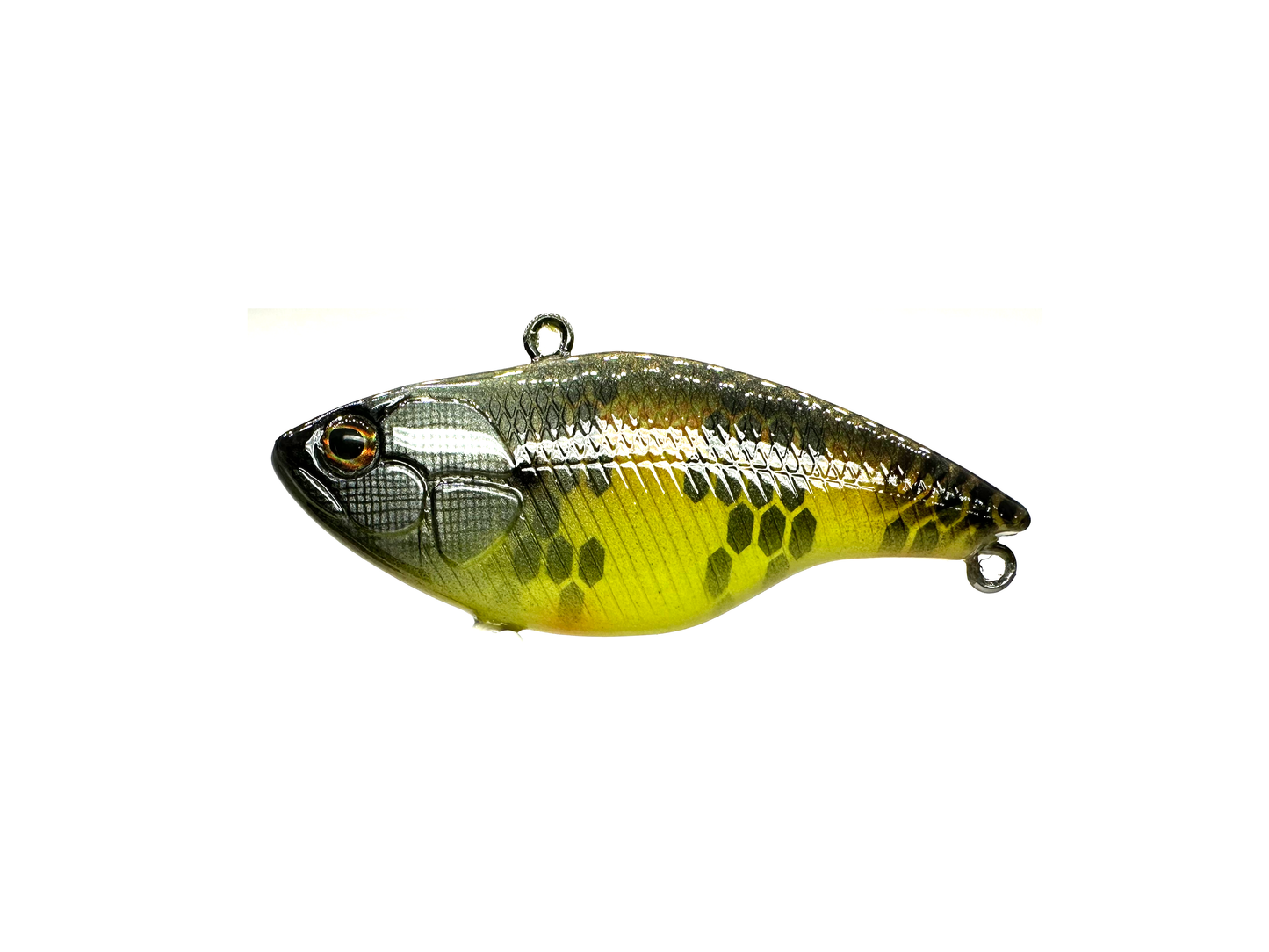3" Lipless Crankbait