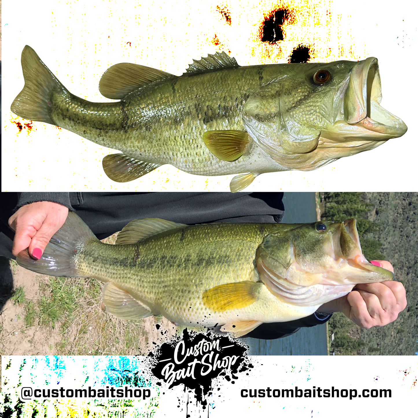 Largemouth Bass Replica (deposit)