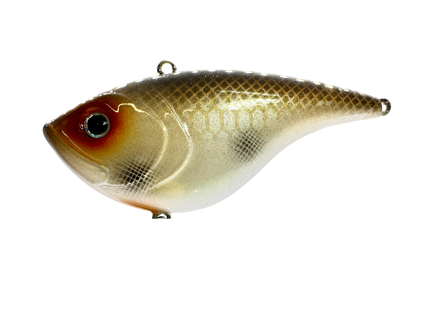 Big Belly Lipless Crankbait