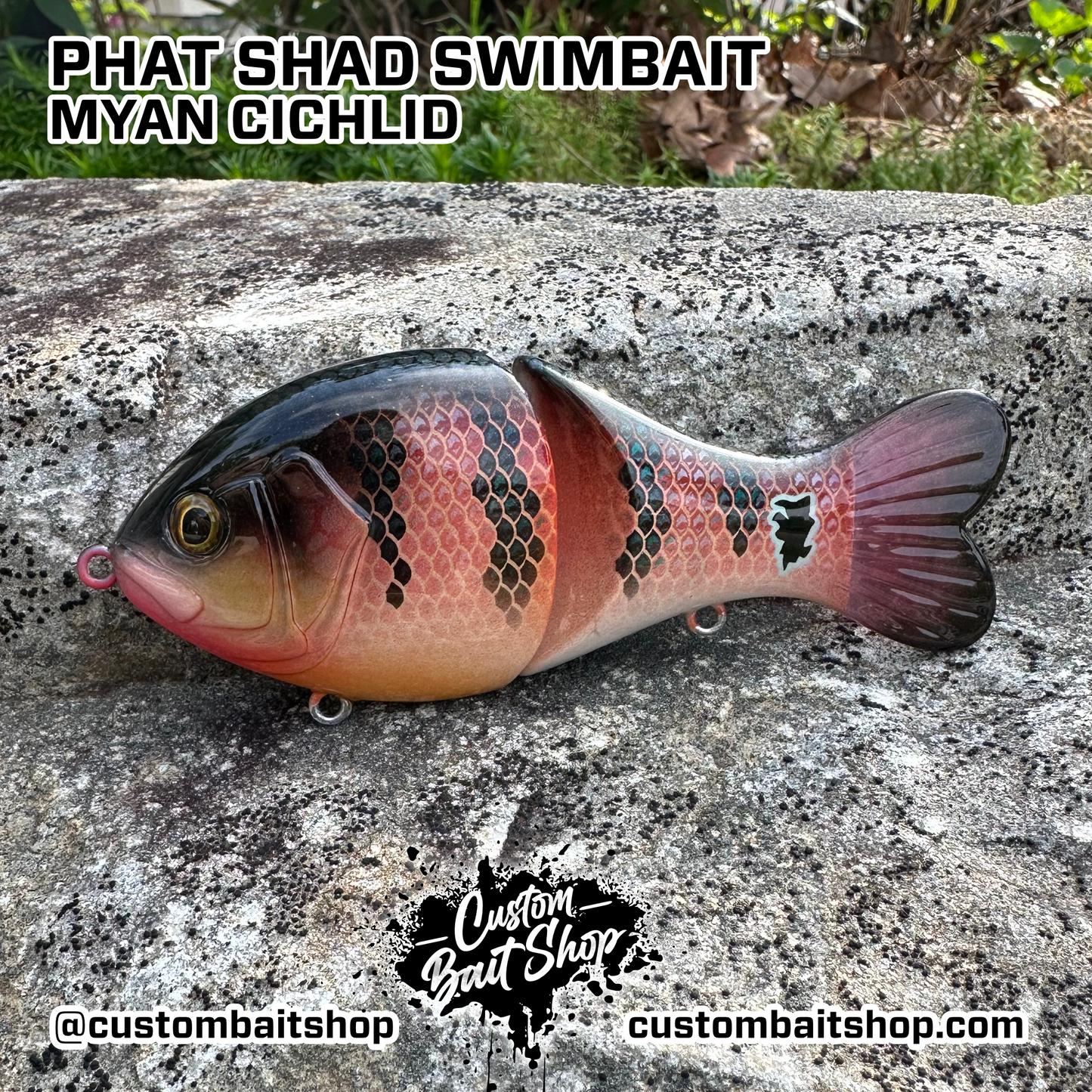 5" Phat Shad (Sale)