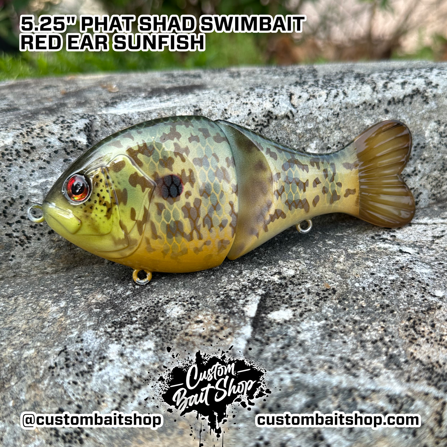 5" Phat Shad (Sale)