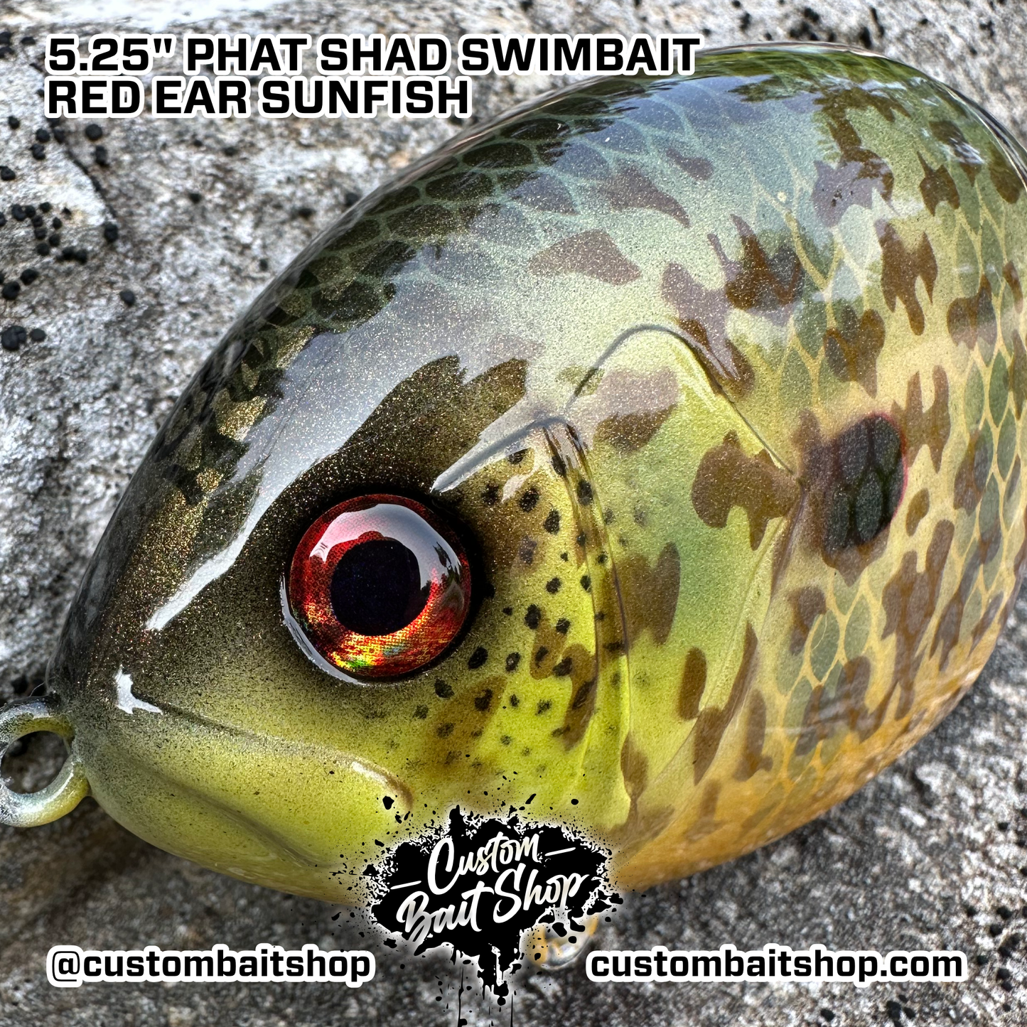 5" Phat Shad (Sale)