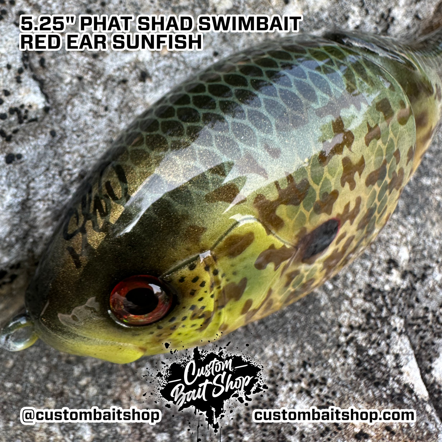 5" Phat Shad (Sale)